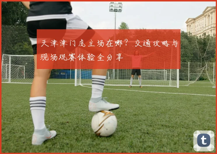 天津津门虎主场在哪?交通攻略与现场观赛体验全分享