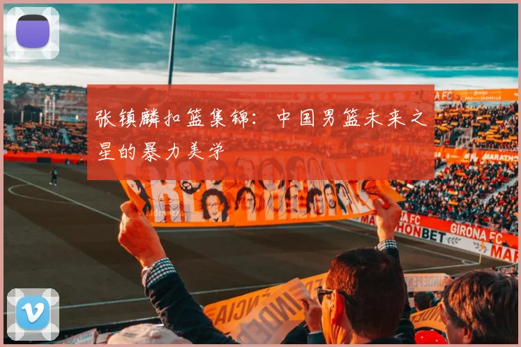 张镇麟扣篮集锦：中国男篮未来之星的暴力美学