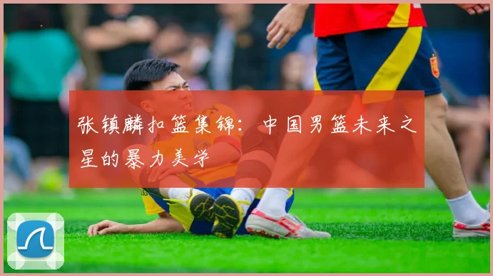 张镇麟扣篮集锦：中国男篮未来之星的暴力美学