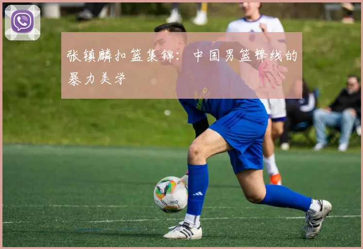 张镇麟扣篮集锦:中国男篮锋线的暴力美学