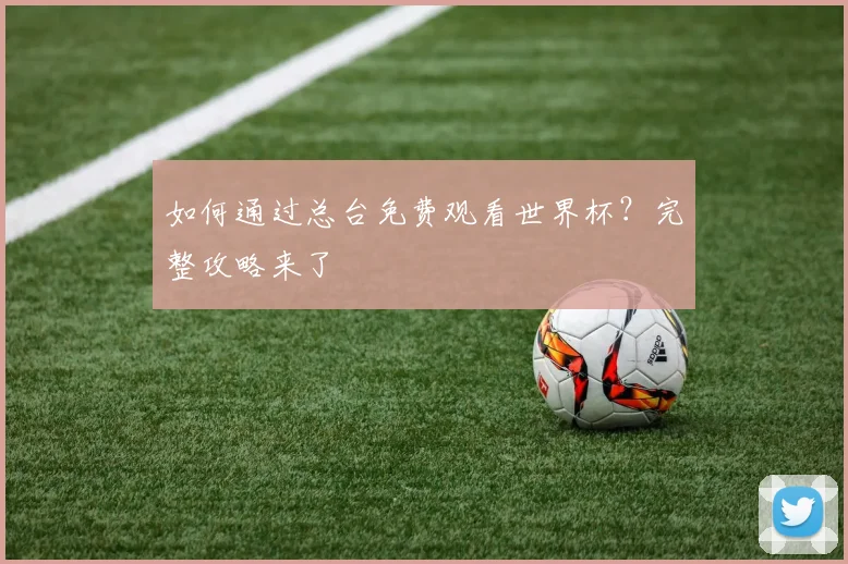 如何通过总台免费观看世界杯？完整攻略来了