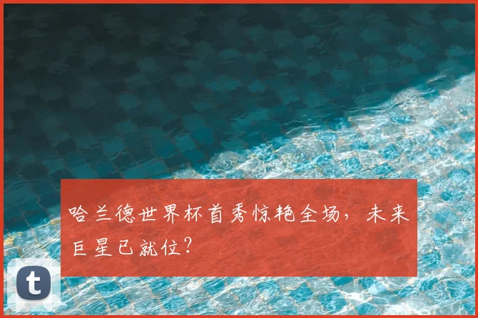 哈兰德世界杯首秀惊艳全场,未来巨星已就位?