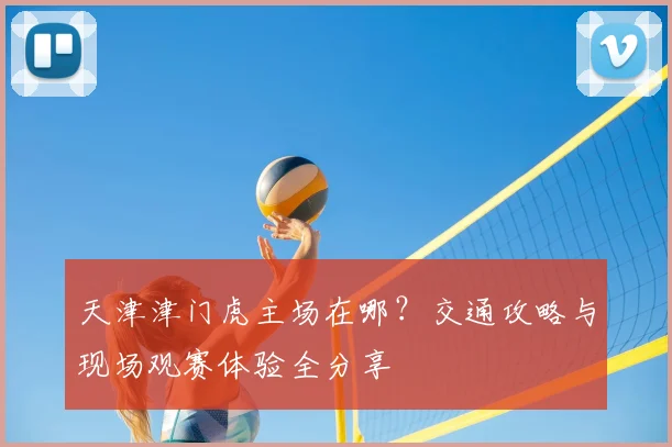 天津津门虎主场在哪?交通攻略与现场观赛体验全分享
