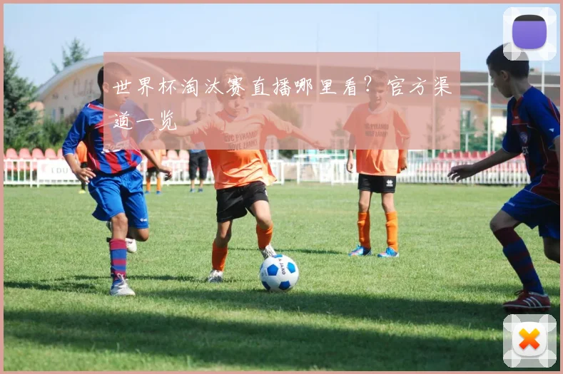 世界杯淘汰赛直播哪里看?官方渠道一览