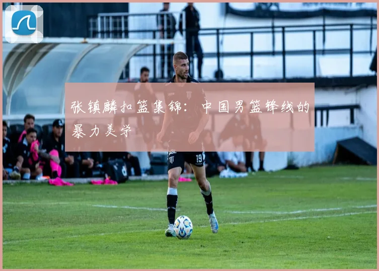 张镇麟扣篮集锦:中国男篮锋线的暴力美学
